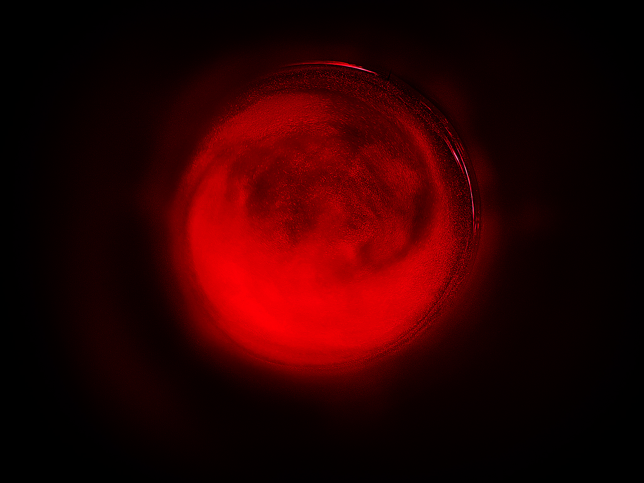 Featured image of post Alix